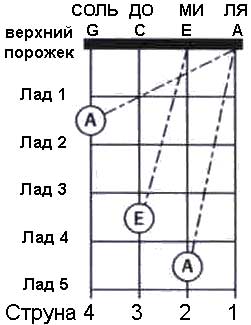 Строй Flight NUS 310 укулеле