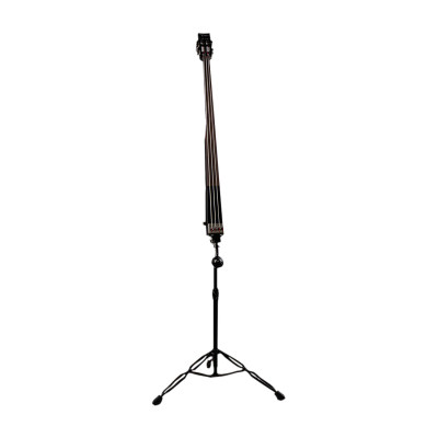 Dean Paceb CBK Upright pace - электроконтрабас