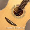 Flight AD-200 NA акустическая гитара