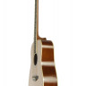 Virginia V-D40 акустическая гитара