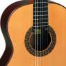 PEREZ 670 Spruce 4/4 классическая гитара