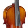 STAGG VL-3/4 скрипка полный комплект + футляр