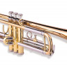 Труба Bach TR-305BP Bb