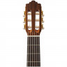 Классическая гитара 4/4 ALTAMIRA N200+