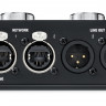 FOCUSRITE RedNet AM2 мониторный стерео модуль для аудио сети Dante