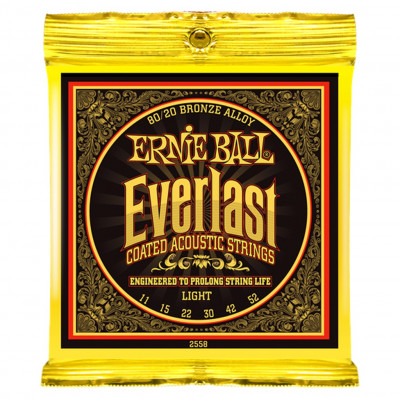 Комплект струн для акустической гитары Ernie Ball P02558, 11-52