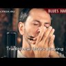 Hohner Blues Harp 532-20 MS F губная гармошка диатоническая