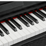 Цифровое фортепиано EMILY PIANO D-52 BK