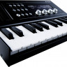 КОНТРОЛЛЕР Roland A-01