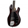 Sterling by MusicMan RAY5-WS-R1 бас-гитара