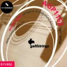 Комплект струн для акустической гитары 11-52 GALLI STRINGS AGP1152