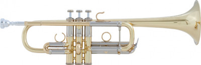 Труба Bach AC190 C
