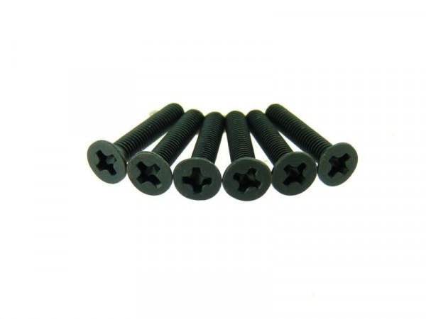 Винт потайной M3x16 под крестовую отвёртку 6шт.