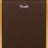 FENDER ACOUSTIC SFX комбик для акустических гитар 160 Вт