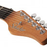 SCHECTER NICK JOHNSTON TRAD H/S/S AGRN электрогитара