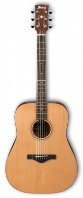 Ibanez AW65-LG акустическая гитара