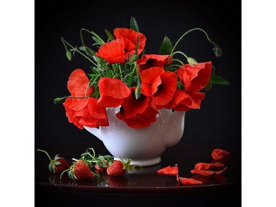 Картина мозаикой 30х30 АЛЫЕ МАКИ (квадр. эл-ты) (29 цветов)