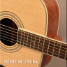 Flight AD-200/NA акустическая гитара