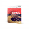 Комплект струн для акустической гитары 13-56 D'Addario EJ24