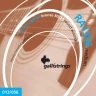 Комплект струн для акустической гитары GALLI STRINGS RA1356, Medium, 13-56