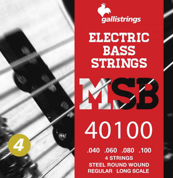 Комплект струн для бас-гитары 040-100 GALLI STRINGS MSB40100 Regular