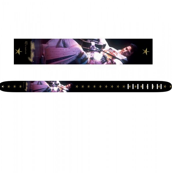 Perri's P25EPV-875 - ремень для гитары кожаный