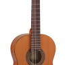 Antonio Sanches S-20 Cedar 4/4 классическая гитара