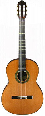 Aria A-100C 4/4 классическая гитара