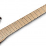 SCHECTER SUN VALLEY SUPER SHREDDER FR III ARB электрогитара