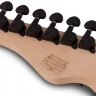 SCHECTER SUN VALLEY SUPER SHREDDER FR III ARB электрогитара