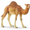 Фигурка Schleich Одногорбый верблюд