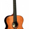LAG T100A акустическая гитара