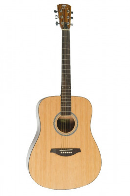 Virginia V-D22 акустическая гитара