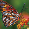 Алмазная мозаика 15х20 ЯРКАЯ БАБОЧКА (16 цветов)