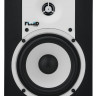 Студийные мониторы FLUID AUDIO C5 (пара)