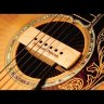 SEYMOUR DUNCAN SA-3HC Hum-Canceling Woody звукосниматель для акустической гитары western