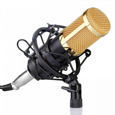 Микрофон студийный FZONE BM-800 BK