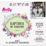 Картина по номерам 30Х30 СЕРЫЙ ВОЛК (18 цветов)