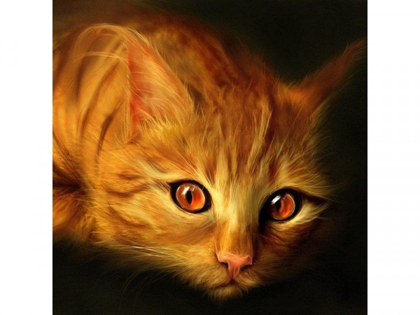 Картина мозаикой 30х30 РЫЖИЙ КОТ (квадрат) (14 цветов)