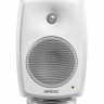 Монитор ближнего поля Genelec 8030CW активный 2-полосный