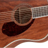 FENDER PM-1 Dreadnought All Mahogany with Case Natural OV Акустическая гитара с кейсом