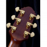 CRAFTER AL G-1000ce электроакустическая гитара с кейсом