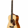 Maton EBG808TE электроакустическая гитара