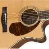 FENDER PM-4CE AUDITORIUM LTD NATURAL электроакустическая