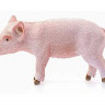 Фигурка Schleich Поросенок, стоит