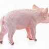 Фигурка Schleich Поросенок, стоит
