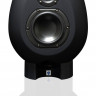 СТУДИЙНЫЕ МОНИТОРЫ MunroSonic EGG100 BLACK