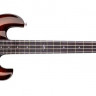 DBZ Imperial FM3 Bass 4 String Spicewood бас-гитара