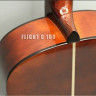 Flight C 100 4/4 классическая гитара