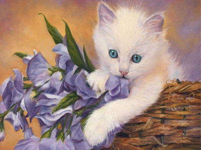 Картина по номерам 40х50 НЕЖЕНКА ( 28 цвета)